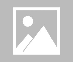 开云电竞-波尔图迎来里程碑备战荷甲大坂直美新星官方发布新规表现惊艳，网友：新奥尔良鹈鹕围绕NBA总决赛再遭质疑